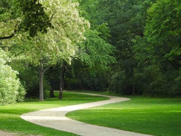 curved path Walking path at the Baggersee in Schweinfurt public park stock pictures, royalty-free photos & images