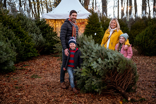 A family with two children wearing warm clothing shopping for a Christmas tree at a Christmas market in Northeastern England. They are smiling and looking at the camera with their newly chosen Christmas tree.