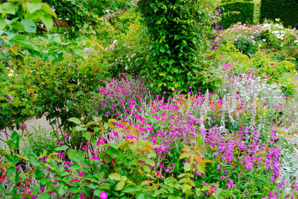 istock English Summer Flowerbed 1257928822