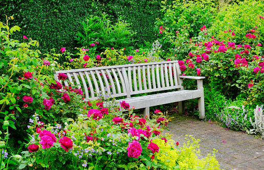 Bespoke wooden garden bench in a patio area surrounded by roses.