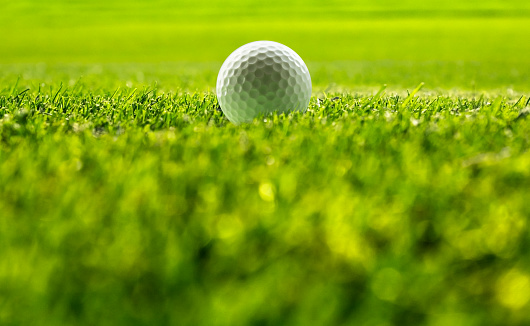 Golf ball in selective focus in green grass with bokeh effect on a foreground. Sport playground at soft light for golf club, blur background of your billboard concept with copy space for text.