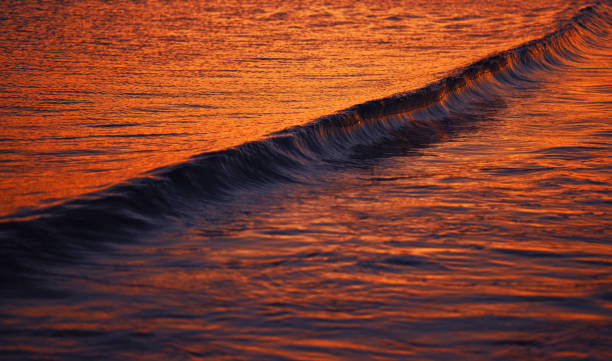 istock The sea at sunset 1257932549