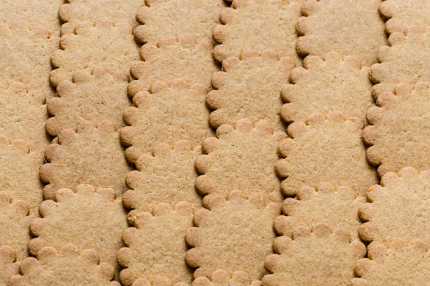 biscuit background. brown round cookies texture. fattening unhealthy concept - biscuit brown cake unhealthy eating imagens e fotografias de stock