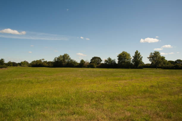 istock blue sky greenfields summer in englands countryside 1257933722