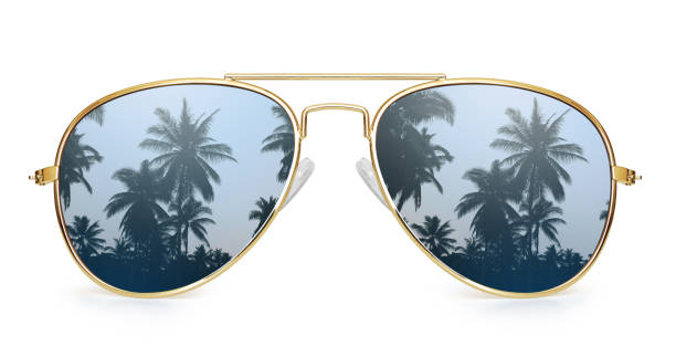palm tree reflection in aviator sunglasses isolated