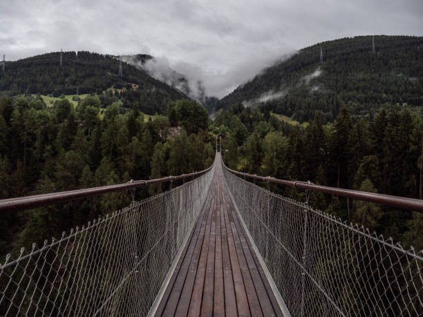 istock Suspension bridge in pine tree valley 1257941541