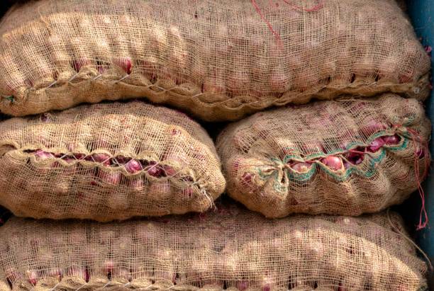 onion sacks in an indian vegetable market for selling and exporting - onion bag netting vegetable imagens e fotografias de stock