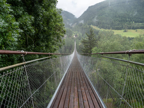 istock Suspension bridge in pine tree valley 1257943114
