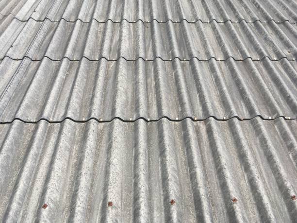 istock Double roof tiles 1257945814