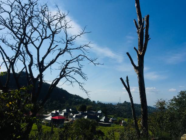 podróż w himachal pradesh - 4606 zdjęcia i obrazy z banku zdjęć