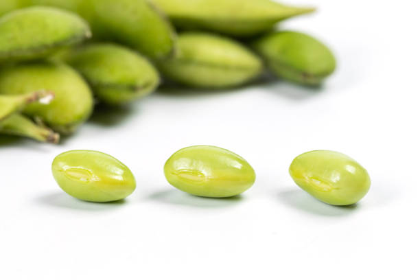 白い背景に出玉の - soybean bean edamame pod ストックフォトと画像