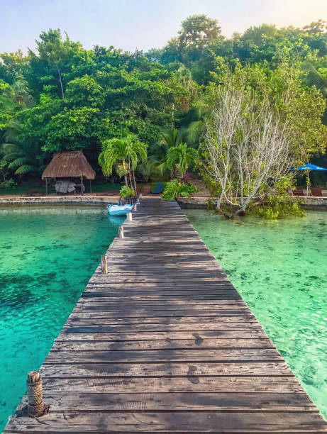 istock Bacalar Lagoon, Quintana Roo / Mexico 1257948444
