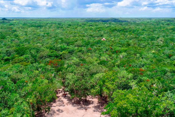 Coba Archaeological Site, Quintana Roo / Mexico