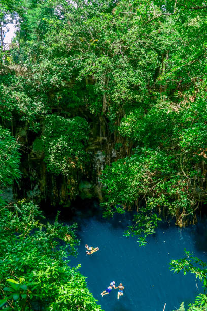 istock Yokdzonot Cenote, Yucatan / Mexico 1257949171