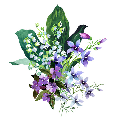 Watercolor Lily Of The Valley And Violet Flowers Budget On White  Illustration Stock Illustration - Download Image Now - iStock