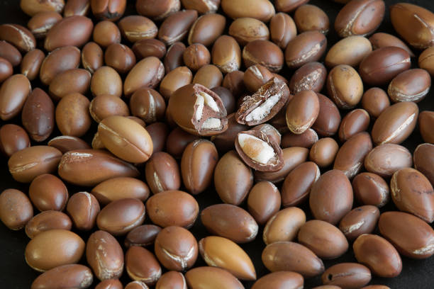 istock Traditional Moroccan argan nuts. Argan seeds (Argania spinosa). Close up 1257952384