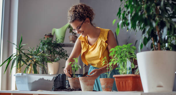 istock Young woman planting plants. 1257955409