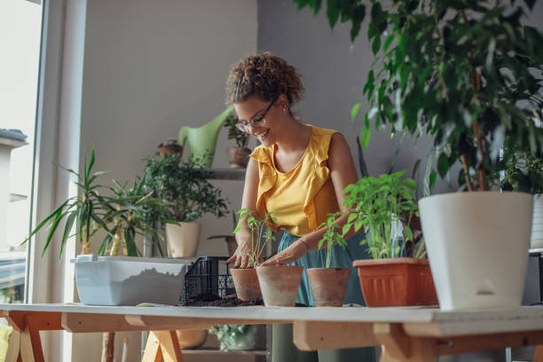 istock Young woman planting plants. 1257956303