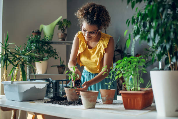 istock Young woman planting plants. 1257956475