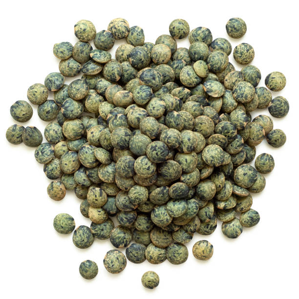 french green puy lentils - green lentil imagens e fotografias de stock