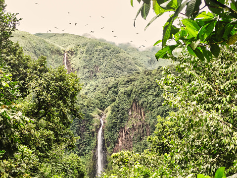 travel to guadeloup in the french islands