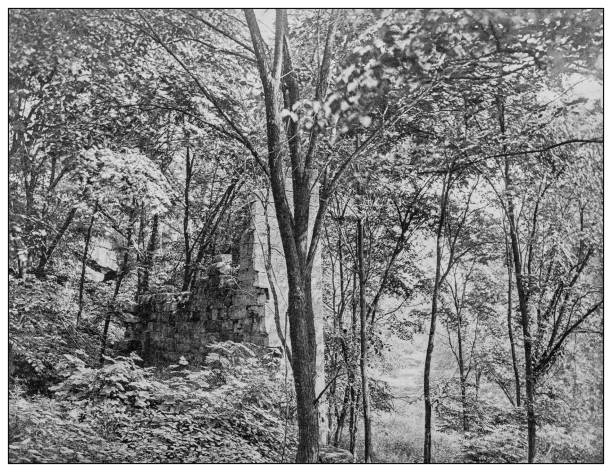 античное черно-белое фото: руины старой мельницы, элирия, огайо - elyria stock illustrations