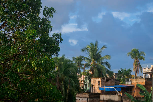 istock A shiny morning with bright sunlight with clear blue sky a beautiful look . 1257972896