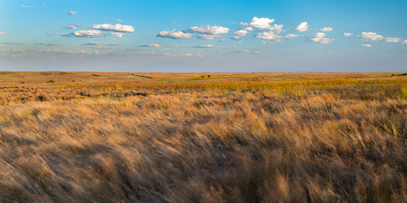 Panoramic view of the fertile countryside with different crops in the fields of rural west central Minnesota, United States.