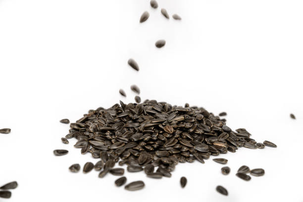 istock sunflower seeds close up on white background 1257977892