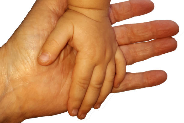 istock child's hand in an adult's hand, isolate, concept 1257981287