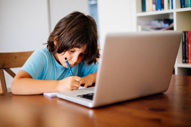 istock Little boys attending to online school class 1257981533
