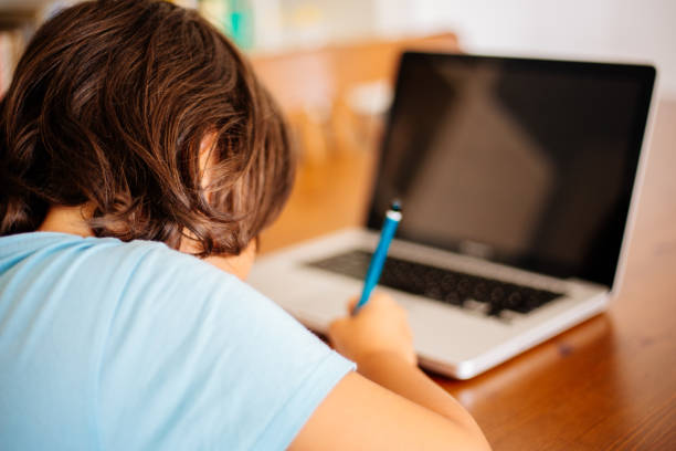 istock Little boys attending to online school class 1257981814