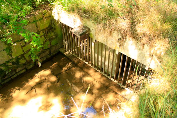 istock Run out of a rain overflow basin into a stream 1257982611