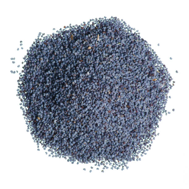 istock poppy seeds on a white background 1257982625