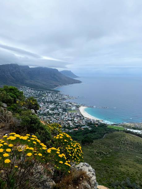 istock South Africa 1257985860