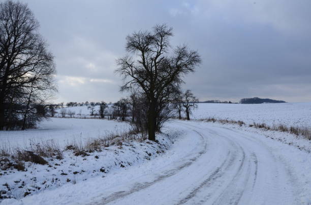 istock Winter snowy landscape, suitable for wallpapers. 1257988052