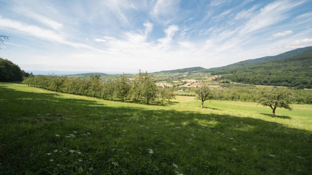 istock farmland in europe 1257988261