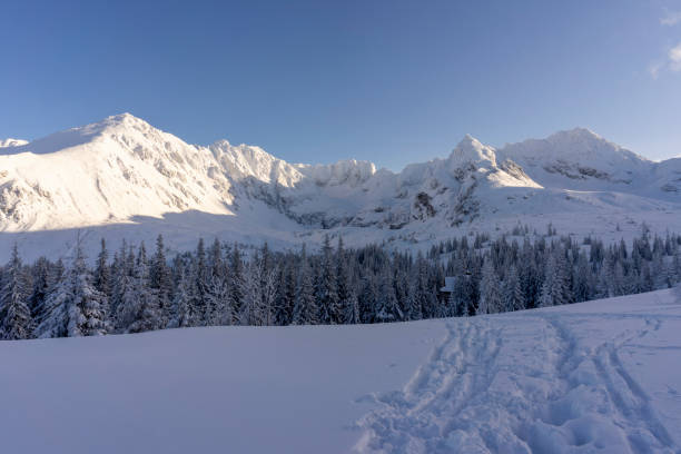 午後の太陽の下でハイタトラスの雪のピーク。 - tatra national park ストックフォトと画像