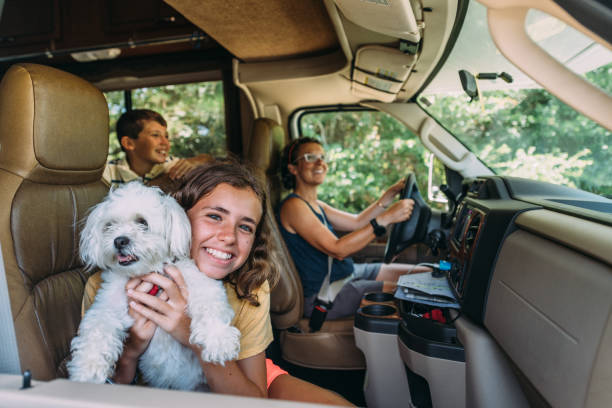Family on RV Road Trip Family on RV Road Trip during summer vacation tibetan lion dog stock pictures, royalty-free photos & images
