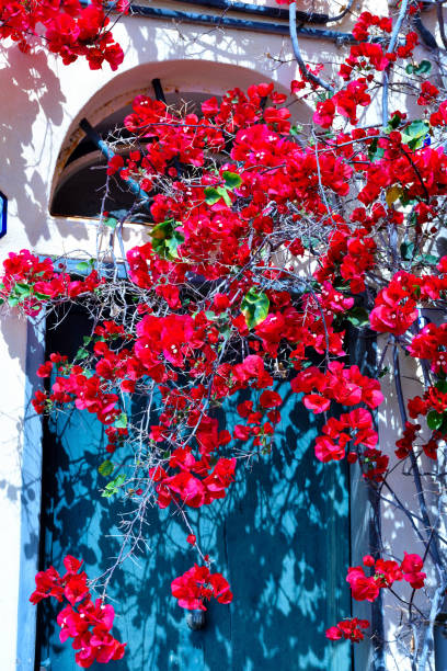istock cervo liguria italy 1257997660