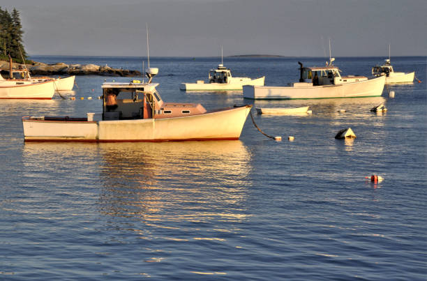 istock Maine Lobster Boats 1257999390