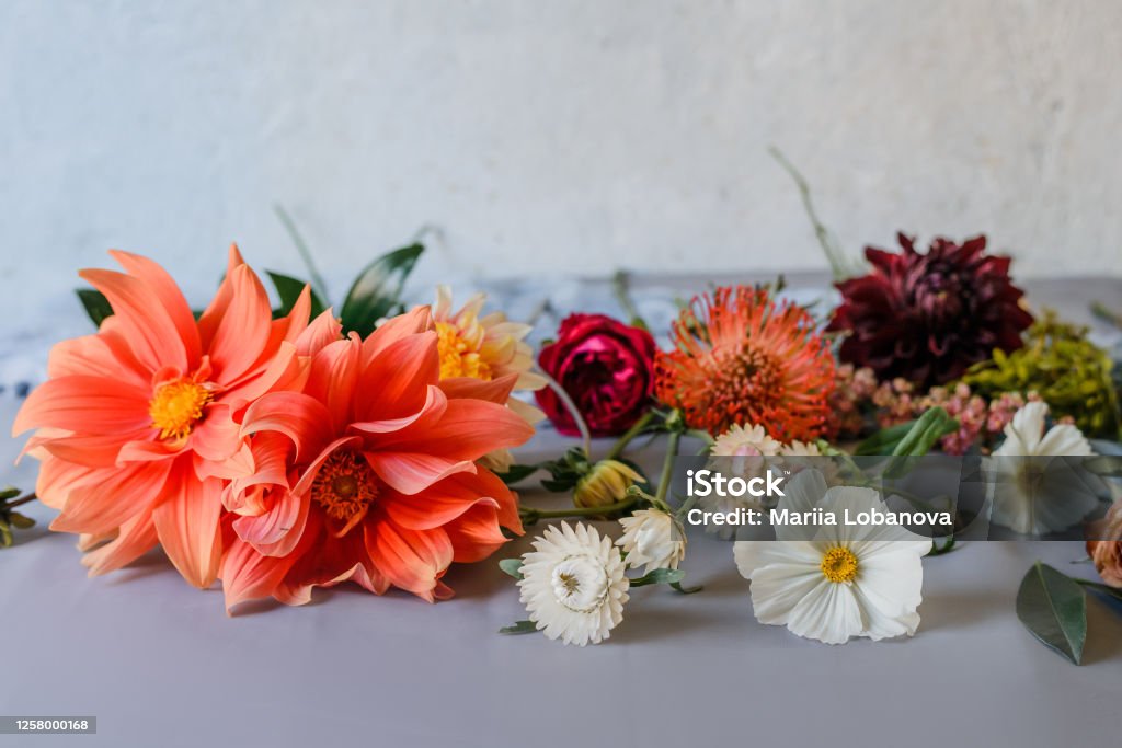 assorted flowers prepaired for bouqet Nice floral background with garden flowers. Bouquet preparation. Close up Above Stock Photo