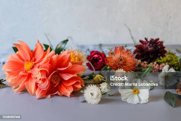 Assorted Flowers Prepaired For Bouqet Stock Photo - Download Image Now - Above, Abstract, Arrangement