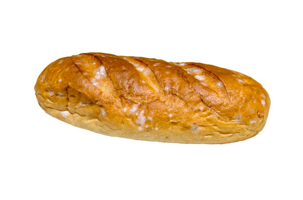 loaf with mold. isolate on a white background. spoiled bread - unusable imagens e fotografias de stock