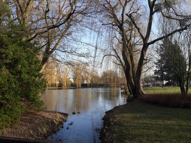 istock the tranquil lake in the fall season 1258003530