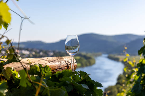Empty wine glass next to wooden beam