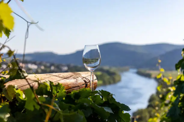 Empty wine glass next to wooden beam and valley of river Moselle in background