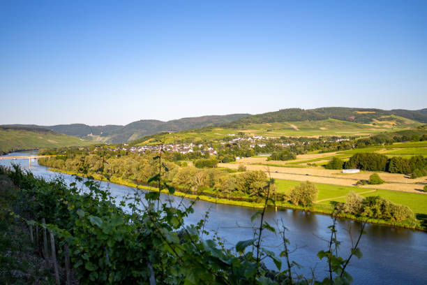 istock Scenic view on river Moselle valley with vineyard in  foreground 1258004941