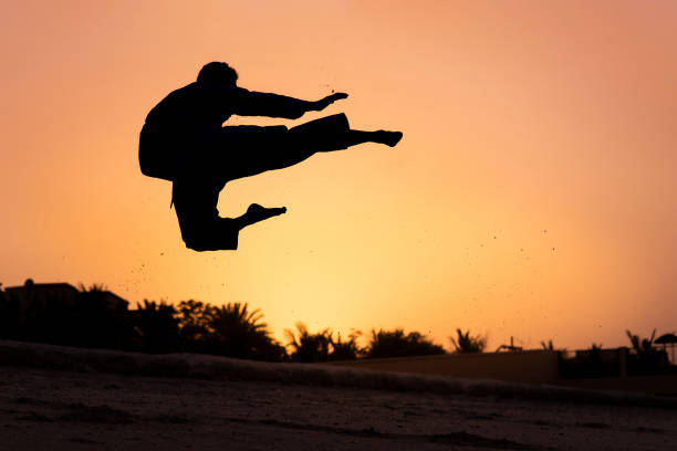 uomo che esegue il calcio volante di karate leg jump al tramonto silhouette - kicking tae kwon do martial arts flying foto e immagini stock