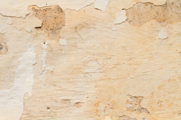 istock Detail of old peeling wall 1258005752
